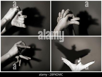 Hand shadows animals Cut Out Stock Images & Pictures - Alamy
