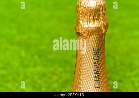 Gold foil covered neck of an unopened bottle champagne against a plain green background. Space for copy left. Stock Photo