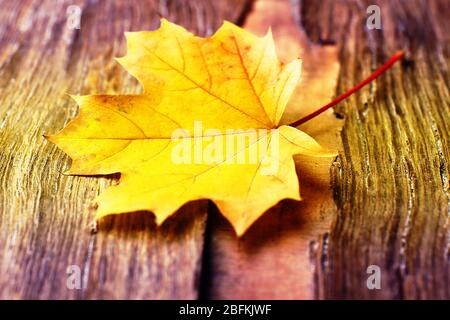 Autumn leaf on wooden background Stock Photo