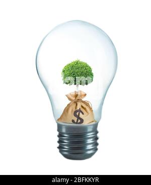 Green eco energy concept. Tree growing inside light bulb, isolated on white Stock Photo