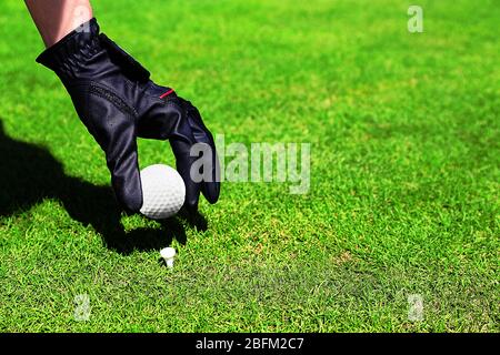 Hand in black glove with golf ball on green grass background Stock Photo