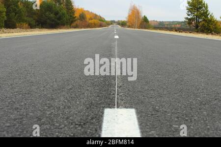Asphalt road goes into the distance through the forest Stock Photo