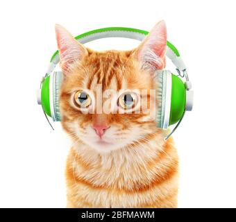 Beautiful cat with headphones isolated on white Stock Photo