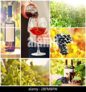 Collage with beautiful wine images, outdoors. Stock Photo