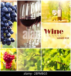 Collage with beautiful wine images, outdoors. Stock Photo