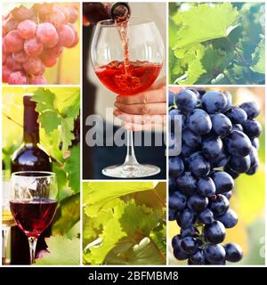 Collage with beautiful wine images, outdoors. Stock Photo