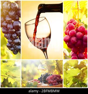 Collage with beautiful wine images, outdoors. Stock Photo