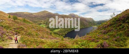 Panoramic view of a female hiker on a trail above Llyn Dinas lake near Beddgelert, Wales Stock Photo