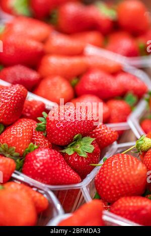 Fresh strawberries in the baskets for sale at farmers market Stock Photo