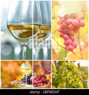 Collage with beautiful wine images, outdoors. Stock Photo