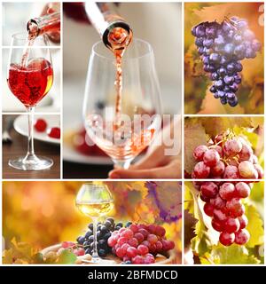 Collage with beautiful wine images, outdoors. Stock Photo