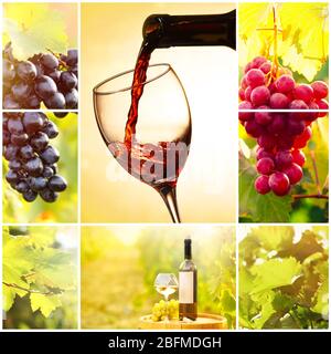 Collage with beautiful wine images, outdoors. Stock Photo