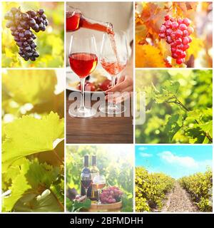 Collage with beautiful wine images, outdoors. Stock Photo