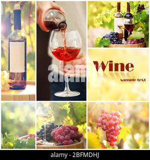 Collage with beautiful wine images, outdoors. Stock Photo