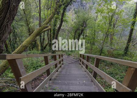 Access and environment of the Augacaida waterfall in Lugo, Galicia, Spain. Stock Photo