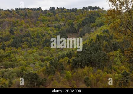 Access and environment of the Augacaida waterfall in Lugo, Galicia, Spain. Stock Photo