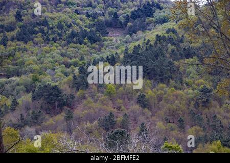 Access and environment of the Augacaida waterfall in Lugo, Galicia, Spain. Stock Photo