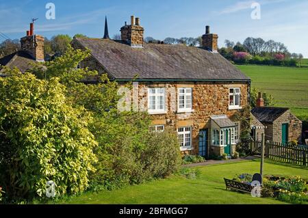 UK,South Yorkshire,Rotherham,Wentworth,Cottage on Barrowfield Lane Stock Photo