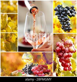 Collage with beautiful wine images, outdoors. Stock Photo