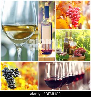 Collage with beautiful wine images, outdoors. Stock Photo