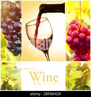 Collage with beautiful wine images, outdoors. Stock Photo