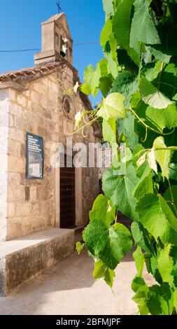 Behind green grape leaves is a beautiful old stone church Gospe od Karmena (Ladies of Carmen), Rose Village, Lustica peninsula, Kotor Bay, Montenegro Stock Photo