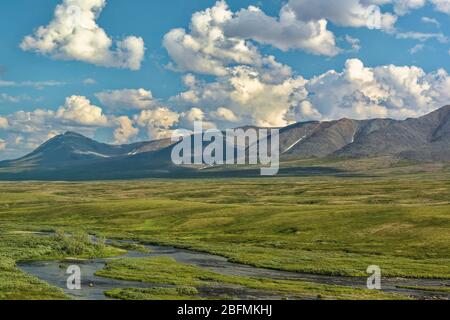 Tundra in the foothills of the Polar Urals. View of the Main Ural ridge from the window of the train 'Moscow-Labytnangi'. Stock Photo