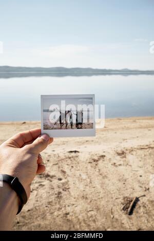 Male hand holding polaroid photo with group of young people posing against beautiful lake on bright summer afternoon Stock Photo