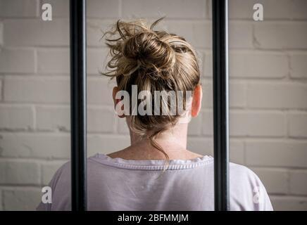 Prisoner behind bars suspect posing for police Vector Image