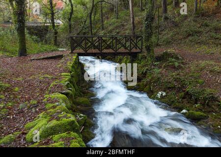 Forest path that runs parallel to the river da Fraga, in the town of Moaña, Galicia, Spain. Stock Photo