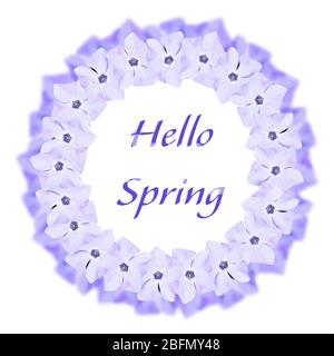 Spring concept. Spring flowers frame and text isolated on white Stock Photo
