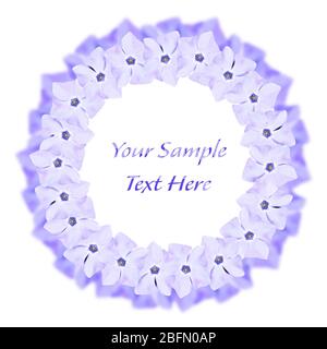 Spring concept. Spring flowers frame and text isolated on white Stock Photo