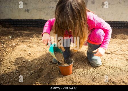 Little caucasian child girl, in her garden, filling a pot with a scoop during covid-19 lockdown. Outdoor idea activity for children at home in pandemi Stock Photo