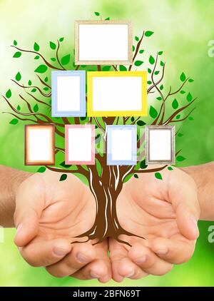 Hands holding family (genealogy ) tree with blank frames, on nature background Stock Photo