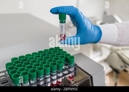 Hand in blue protective glove holding SARS-CoV-2 test tube. Infectious COVID-19 pandemic. Laboratory with automated analyzer and blood samples in rack. Stock Photo