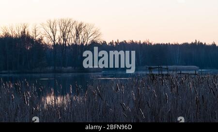 Morning dawn over dark water surface. Common bulrush. Typha. Artistic scene of spring sunrise in rural landscape. Jezero pond, Sezimovo Usti, Czechia. Stock Photo