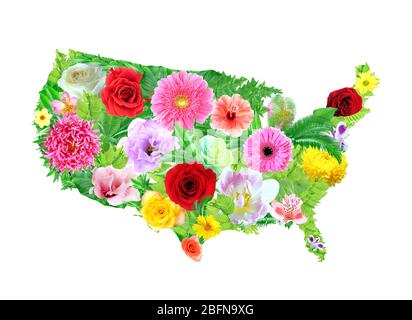 Floral design of USA map on white background Stock Photo