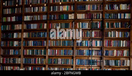 Bookshelves in the library. Book background. Large bookcase with lots of books. Sofa in the room for reading books. Library or shop with bookcases. Stock Photo