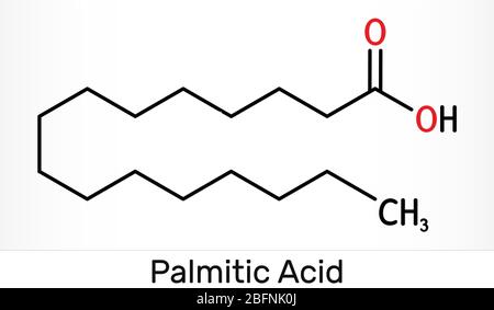 Palmitic acid or hexadecanoic, C16H32O2 molecule. It is saturated fatty ...