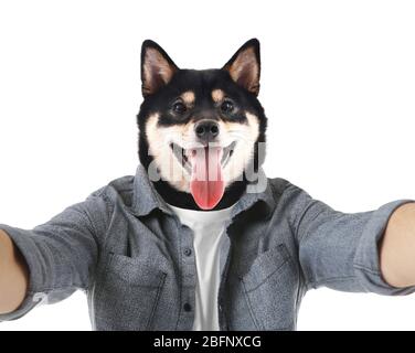 Mam with head of dog on white background Stock Photo