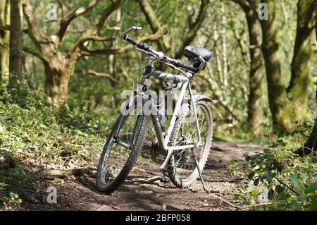 hybrid bike on trails