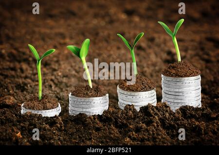 Coins in soil with young plants. Money growth concept. Stock Photo