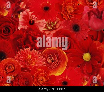 Beautiful flowers background. Floral seamless pattern. Stock Photo