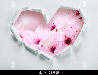 Torn paper  with flowers background. Love concept. Stock Photo
