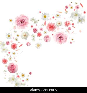 Flying flower buds and petals isolated on white Stock Photo