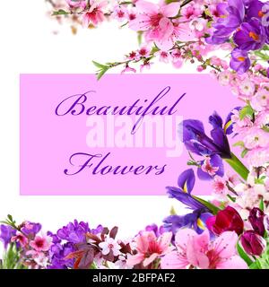 Blank card and flowers frame on white background Stock Photo