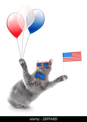 Cute cat with USA flag and air balloons on white background. USA holiday concept. Stock Photo