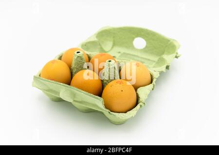 Green cardboard eggbox, fully opened, containing half a dozen speckled brown fresh hen eggs from UK, against a white background Stock Photo