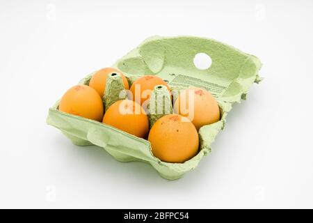 Green cardboard eggbox, fully opened, containing half a dozen speckled brown fresh hen eggs from UK, against a white background Stock Photo