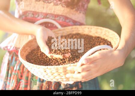 Woman with basket of roasted coffee beans, closeup Stock Photo
